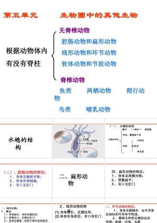八年级生物上册总复习课件 新人教版-新人教级上册生物课件