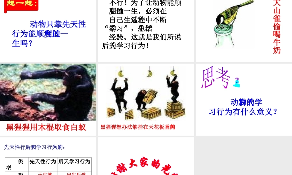 八年级生物上册《先天性行为和后天学习行为》课件2 北师大版