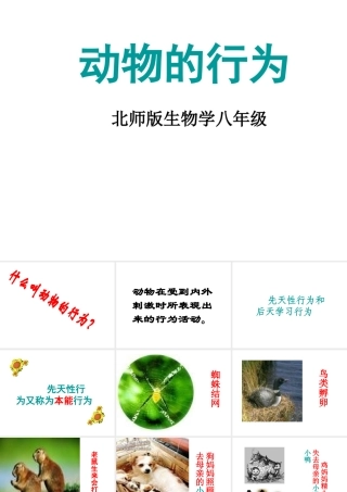 八年级生物上册《先天性行为和后天学习行为》课件2 北师大版