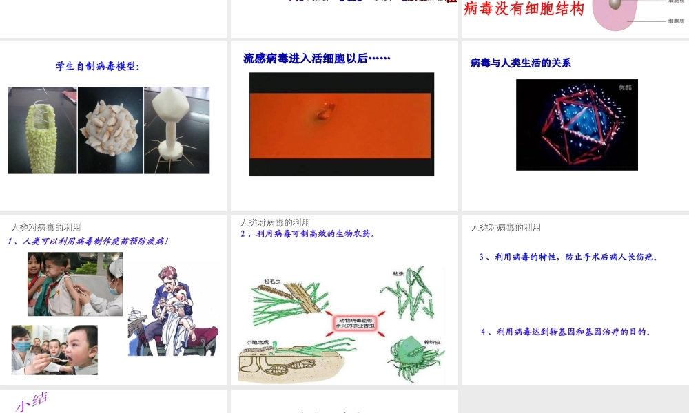 八年级生物上册 第五章 病毒课件 新人教版-新人教级上册生物课件