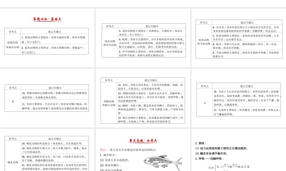 八年级生物上学期期末复习课 探究导学课型 5.1 动物的主要类群课件 （新版）新人教版-（新版）新人教版初中八年级全册生物课件