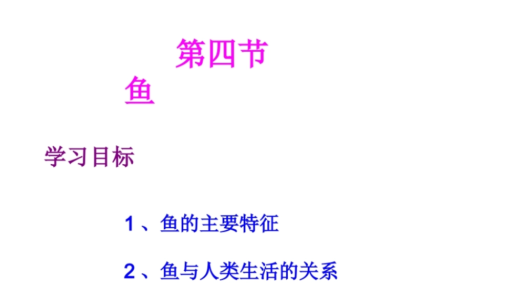 八年级生物上册 第五章 第四节 鱼课件 新人教版