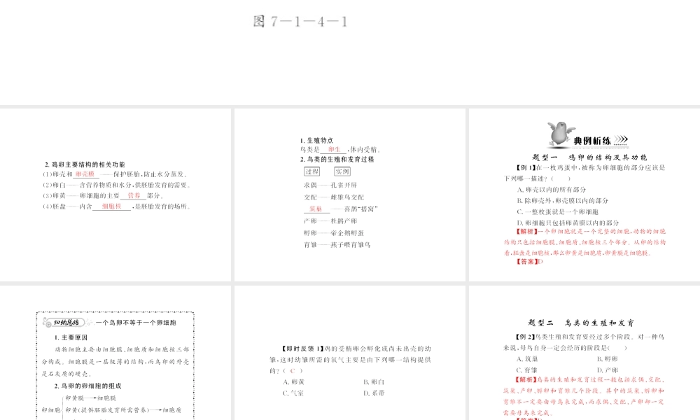 八年级生物下册 7.1.4 《鸟的生殖和发育》配套课件 人教新课标版