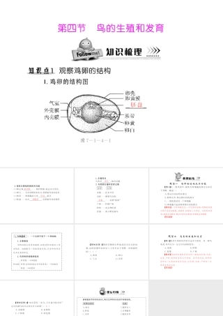 八年级生物下册 7.1.4 《鸟的生殖和发育》配套课件 人教新课标版