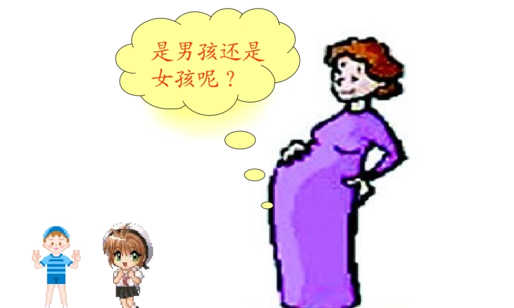 八年级生物上册《性别和性别决定》课件1 北师大版