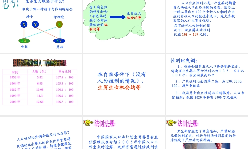 八年级生物上册《性别和性别决定》课件1 北师大版