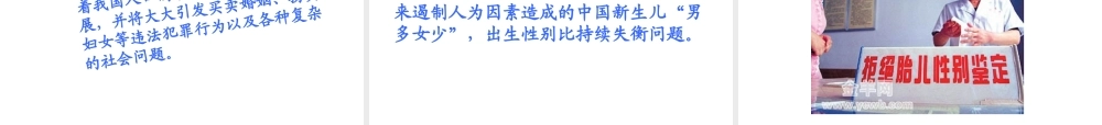 八年级生物上册《性别和性别决定》课件1 北师大版