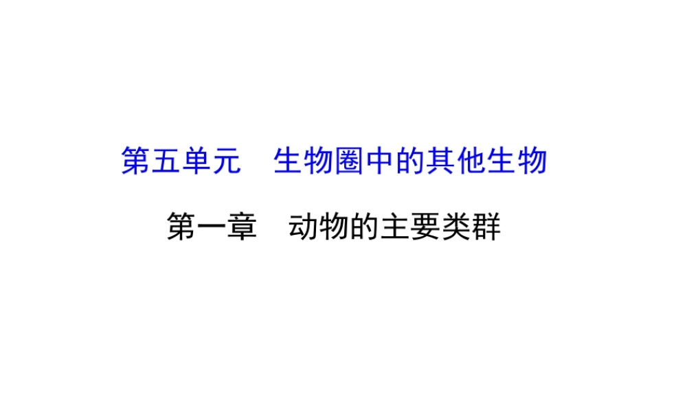 八年级生物上学期期末复习课 探究导学课型 5.1 动物的主要类群课件 （新版）新人教版-（新版）新人教级全册生物课件