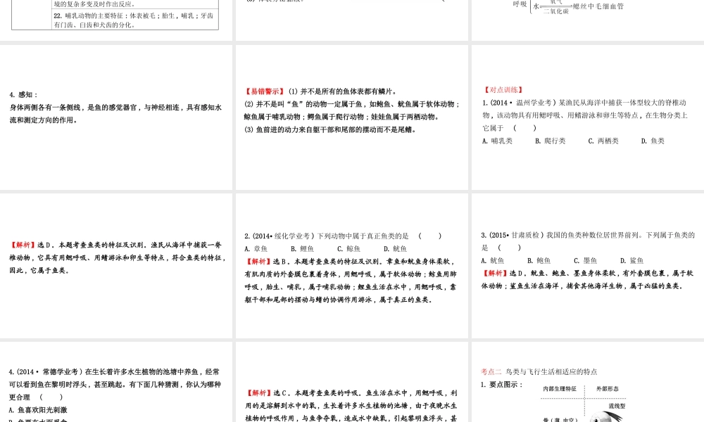 八年级生物上学期期末复习课 探究导学课型 5.1 动物的主要类群课件 （新版）新人教版-（新版）新人教级全册生物课件