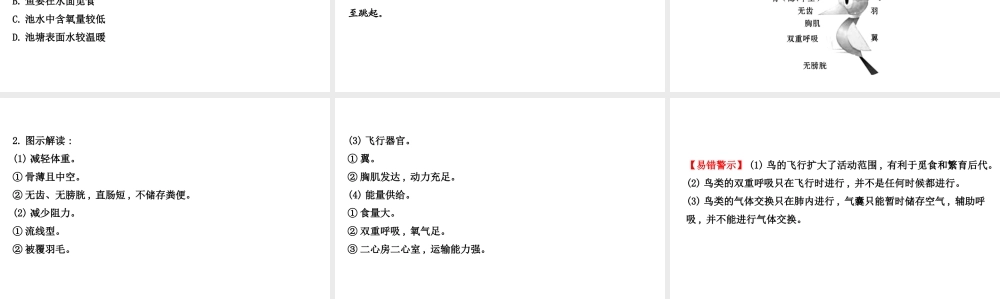 八年级生物上学期期末复习课 探究导学课型 5.1 动物的主要类群课件 （新版）新人教版-（新版）新人教级全册生物课件