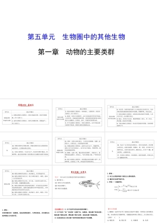 八年级生物上学期期末复习课 探究导学课型 5.1 动物的主要类群课件 （新版）新人教版-（新版）新人教级全册生物课件