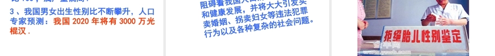 八年级生物上册《性别和性别决定》课件2 北师大版