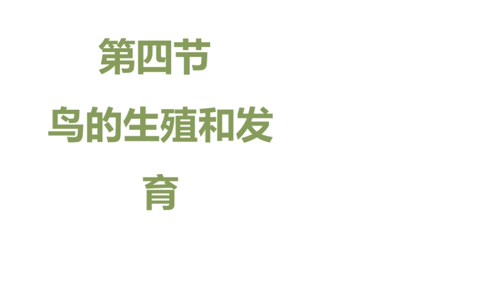 八年级生物下册 7.1.4 鸟的生殖和发育教学课件 （新版）新人教版-（新版）新人教版初中八年级下册生物课件