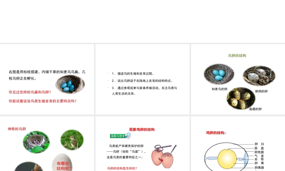八年级生物下册 7.1.4 鸟的生殖和发育教学课件 （新版）新人教版-（新版）新人教版初中八年级下册生物课件