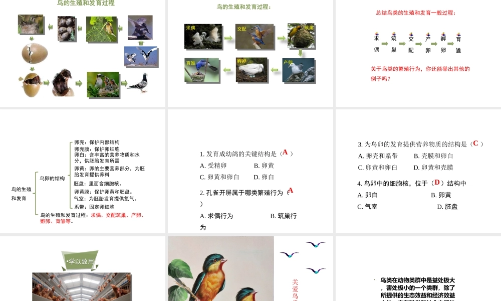 八年级生物下册 7.1.4 鸟的生殖和发育教学课件 （新版）新人教版-（新版）新人教版初中八年级下册生物课件