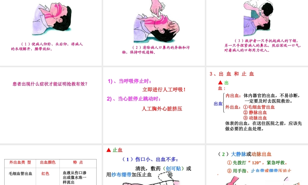 八年级生物下册 5.2.2 急救常识课件 鲁科版-鲁科版初中八年级下册生物课件