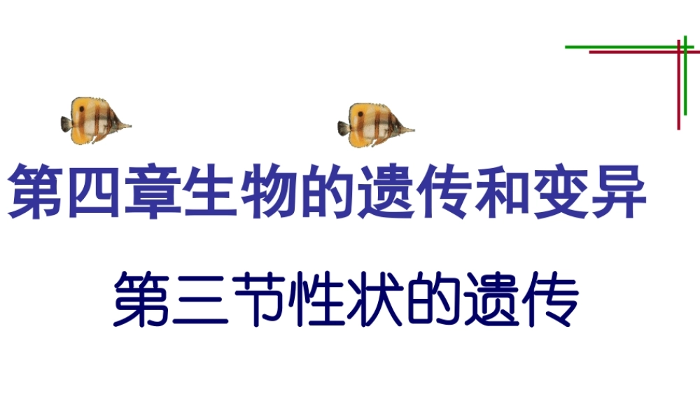 八年级生物上册《性状的遗传》课件 济南版