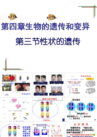 八年级生物上册《性状的遗传》课件 济南版