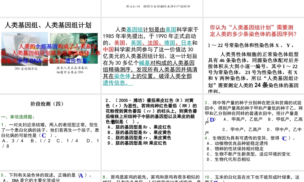 八年级生物上册 第五章 第五节 人类优生与基因组计划课件 济南版