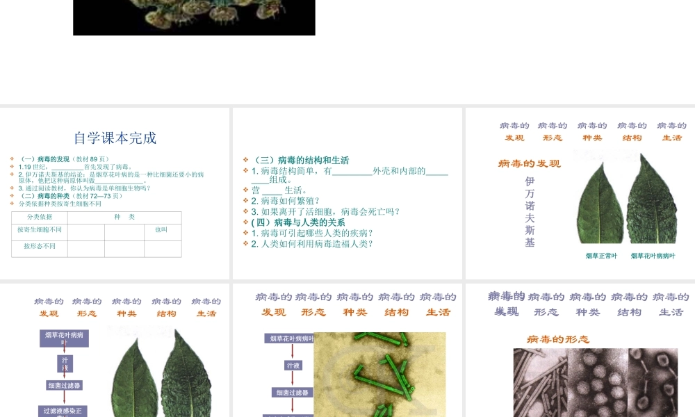 八年级生物上册 第五章《病毒》课件 新人教版