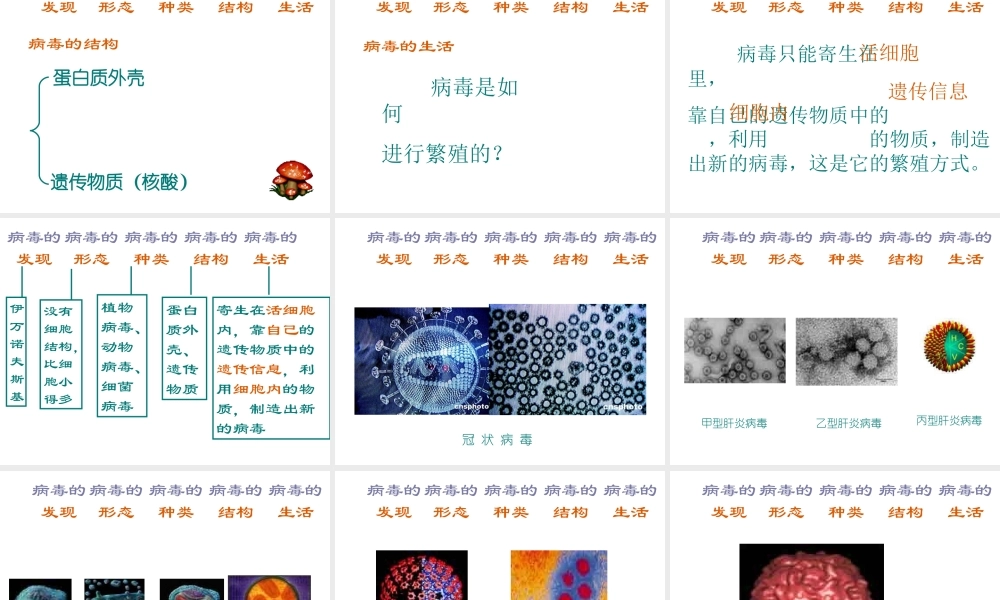 八年级生物上册 第五章《病毒》课件 新人教版