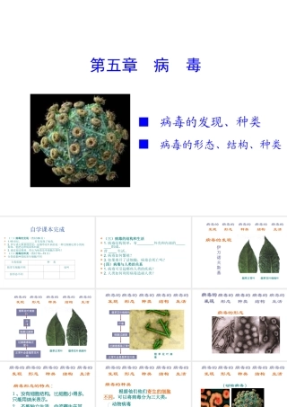 八年级生物上册 第五章《病毒》课件 新人教版