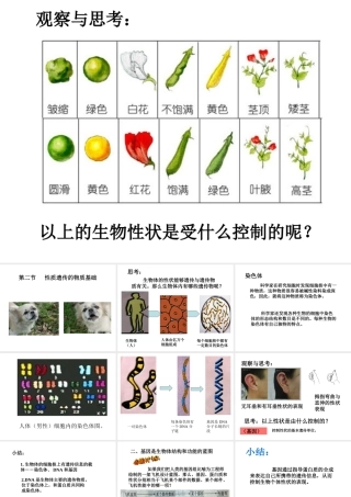 八年级生物上册《性状遗传的物质基础》课件1 北师大版