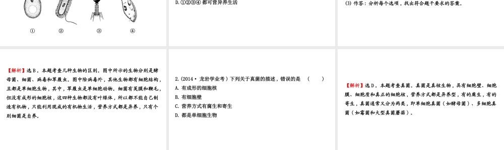 八年级生物上学期期末复习课 探究导学课型 第五单元 第4-5章课件 （新版）新人教版-（新版）新人教版初中八年级全册生物课件