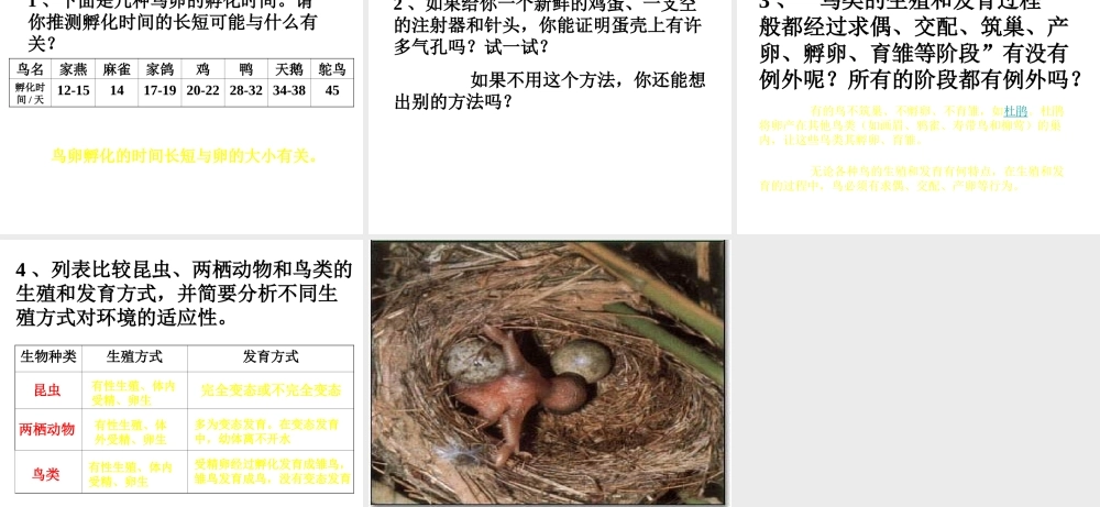 八年级生物下册 7.1.4 鸟的生殖和发育课件 （新版）新人教版-（新版）新人教版初中八年级下册生物课件