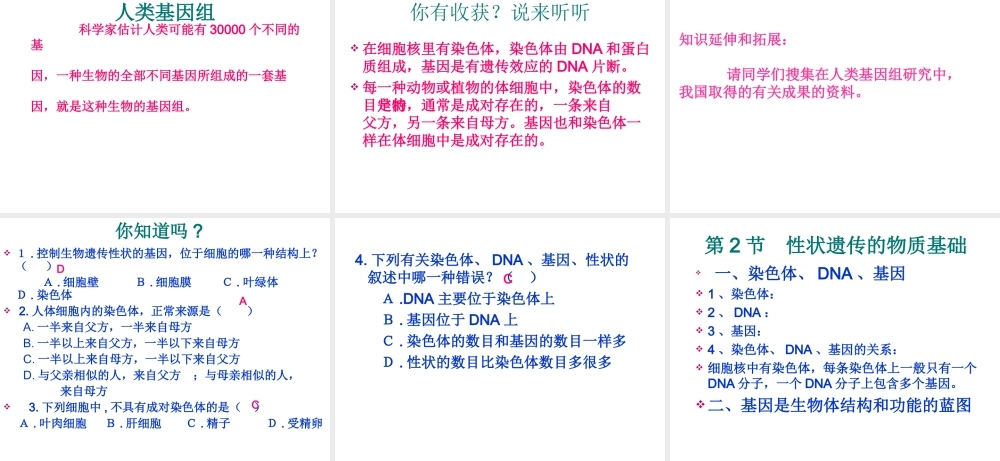 八年级生物上册《性状遗传的物质基础》课件2 北师大版