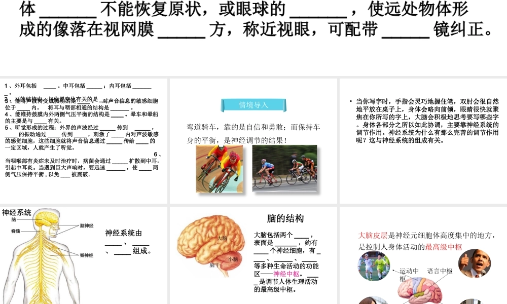 八年级生物下册 4.6.2 神经系统的组成课件 鲁科版-鲁科版初中八年级下册生物课件