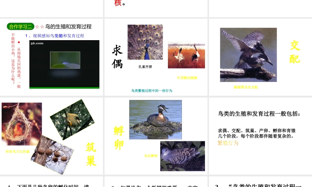 八年级生物下册 7.1.4 鸟的生殖和发育课件 （新版）新人教版-（新版）新人教级下册生物课件