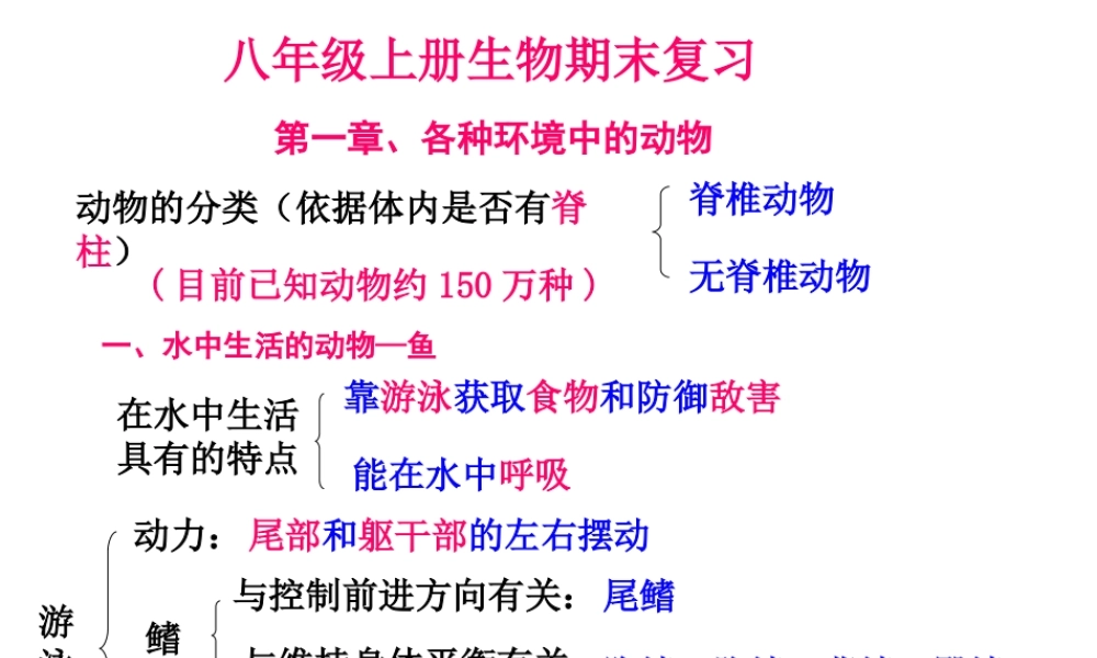 八年级生物上学期期末复习提纲课件 新人教版-新人教版初中八年级全册生物课件
