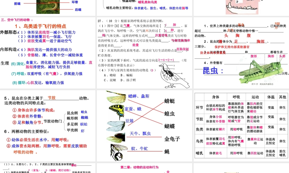 八年级生物上学期期末复习提纲课件 新人教版-新人教版初中八年级全册生物课件