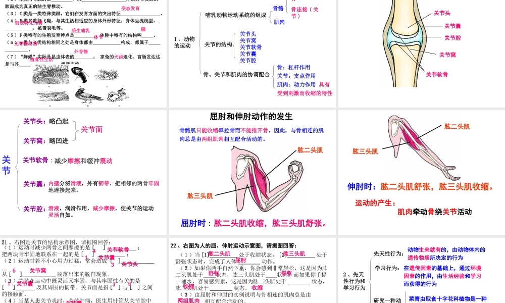八年级生物上学期期末复习提纲课件 新人教版-新人教版初中八年级全册生物课件