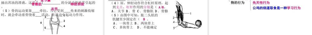 八年级生物上学期期末复习提纲课件 新人教版-新人教版初中八年级全册生物课件