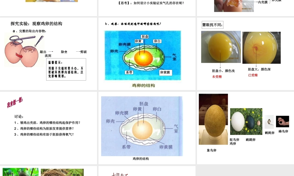 八年级生物下册 7.1.4 鸟的生殖和发育课件 （新版）新人教版