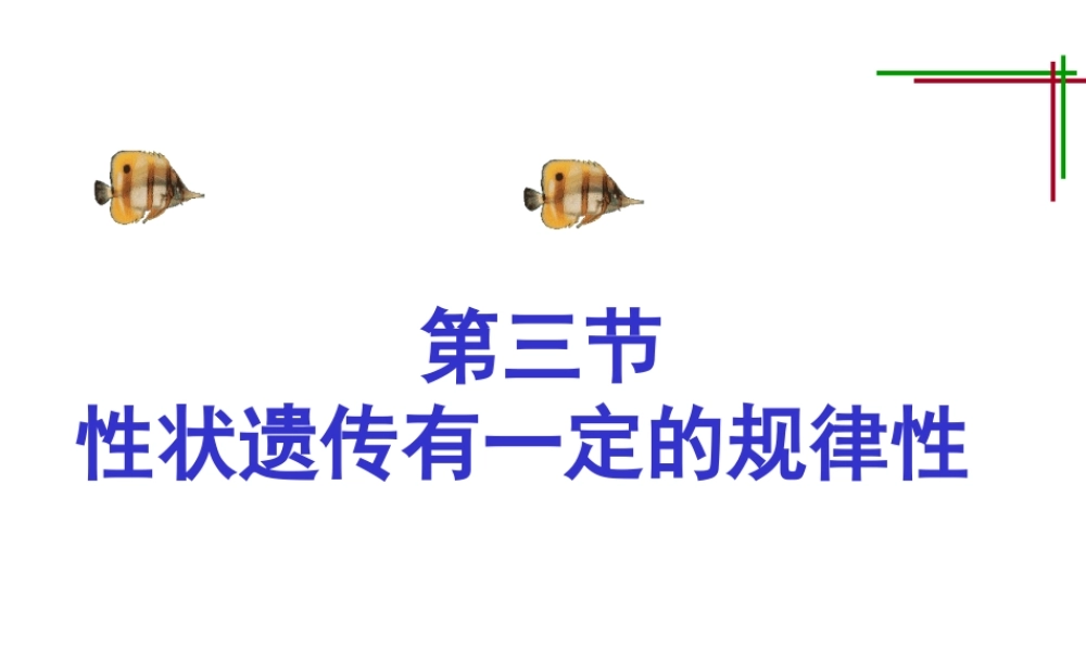八年级生物上册《性状遗传有一定的规律性》课件2 北师大版