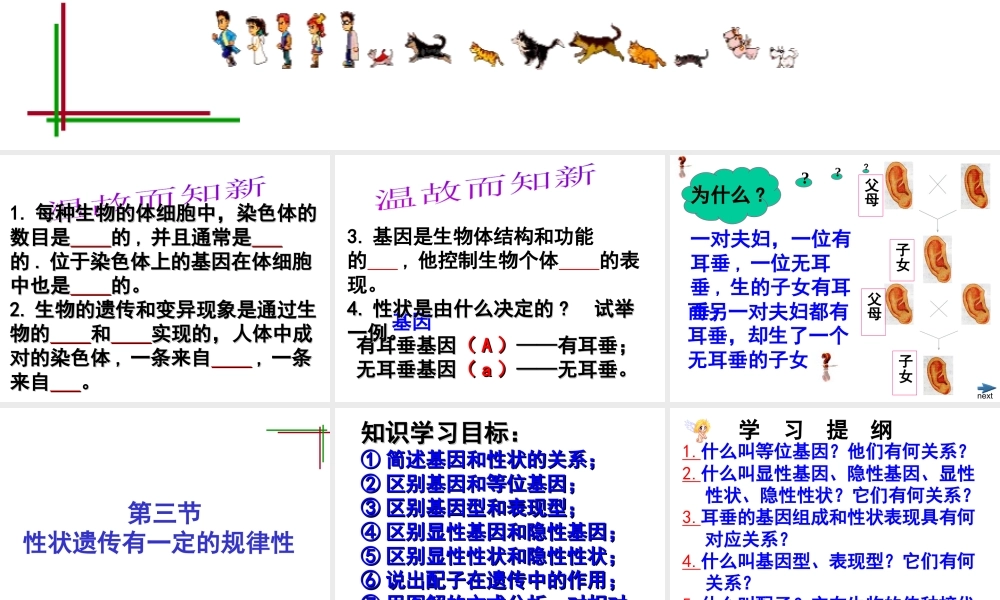 八年级生物上册《性状遗传有一定的规律性》课件2 北师大版