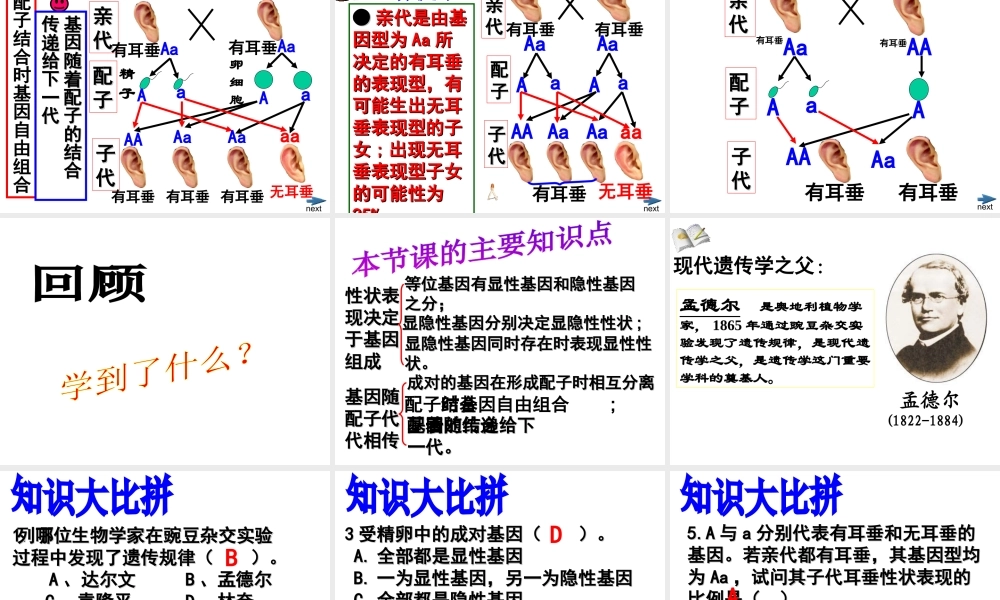 八年级生物上册《性状遗传有一定的规律性》课件2 北师大版