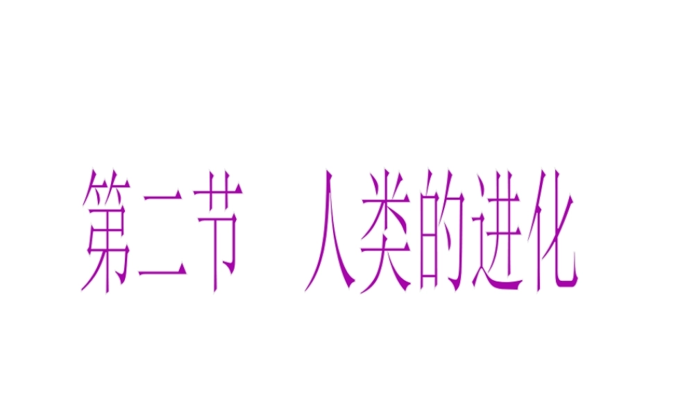 八年级生物下册 5.2.2《人类的进化》课件 济南版