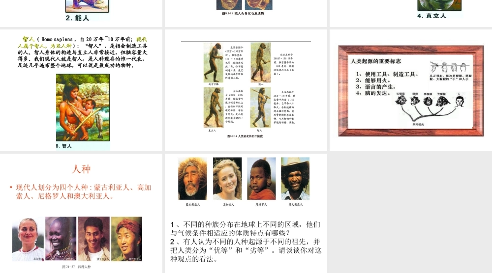 八年级生物下册 5.2.2《人类的进化》课件 济南版