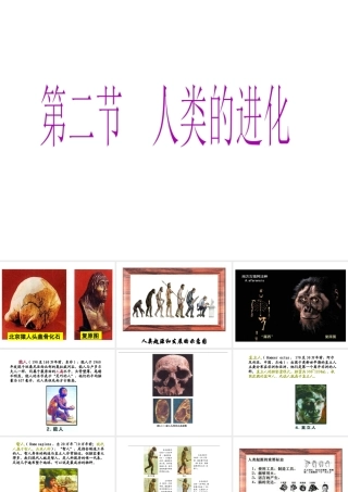 八年级生物下册 5.2.2《人类的进化》课件 济南版