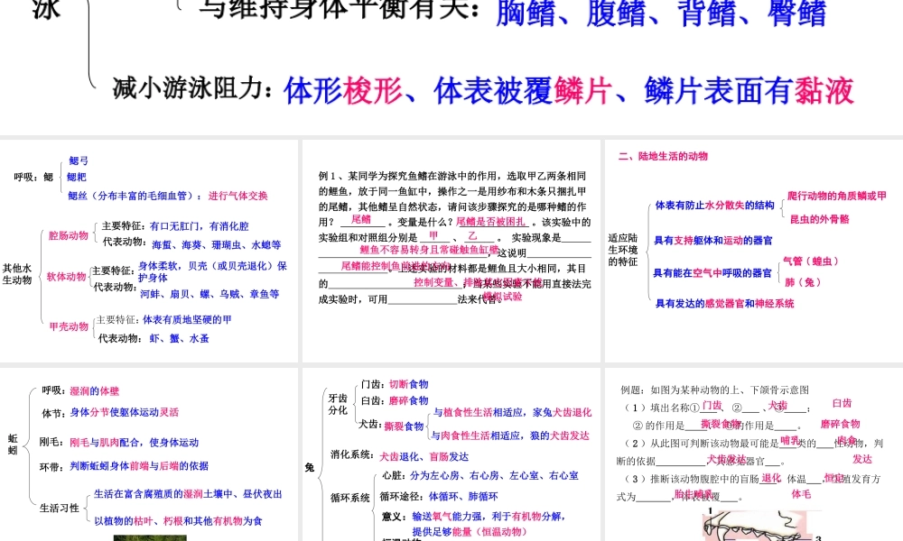 八年级生物上学期期末复习提纲课件 新人教版-新人教级全册生物课件