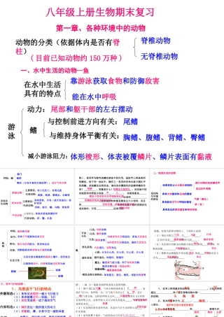 八年级生物上学期期末复习提纲课件 新人教版-新人教级全册生物课件