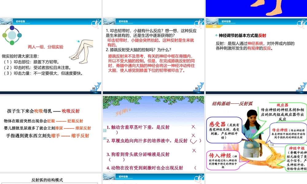 八年级生物下册 4.6.3 神经调节的基本方式课件 鲁科版-鲁科版初中八年级下册生物课件