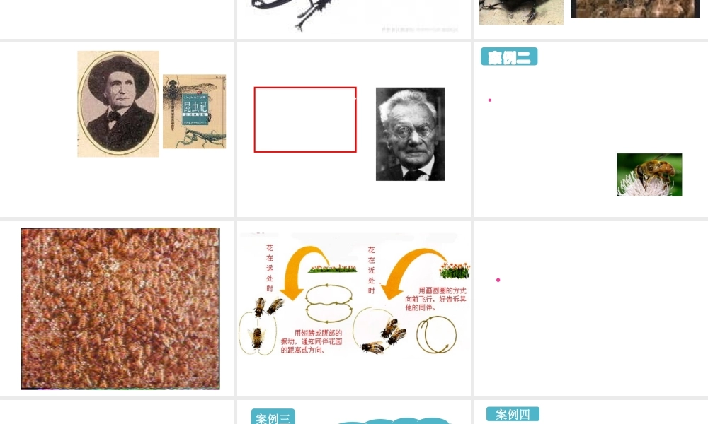 八年级生物上册《研究动物行为的方法》课件1 北师大版