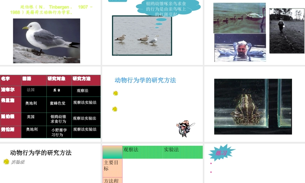 八年级生物上册《研究动物行为的方法》课件1 北师大版