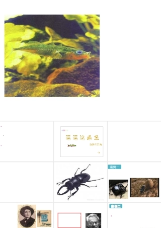 八年级生物上册《研究动物行为的方法》课件1 北师大版