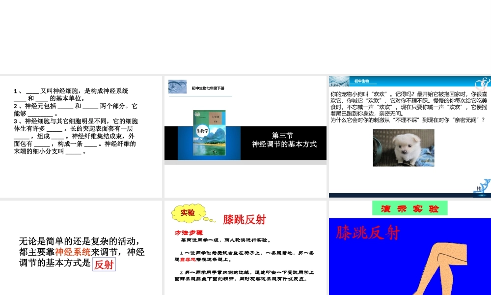 八年级生物下册 4.6.3 神经调节的基本方式课件 鲁科版-鲁科级下册生物课件